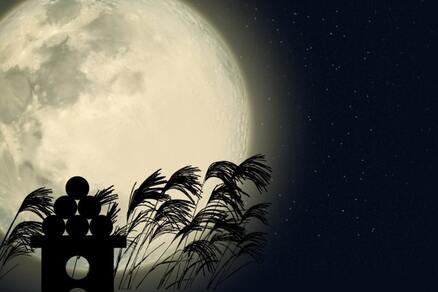 Moon viewing (The most popular Japanese event) 